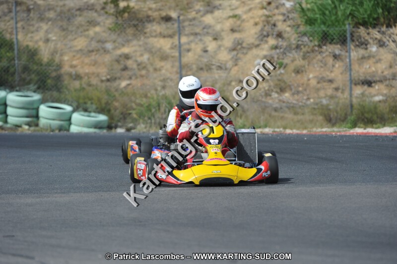 DSC (3224).JPG